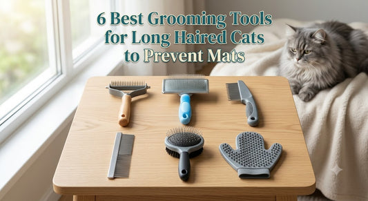 6 Best Grooming Tools for Long Haired Cats to Prevent Mats