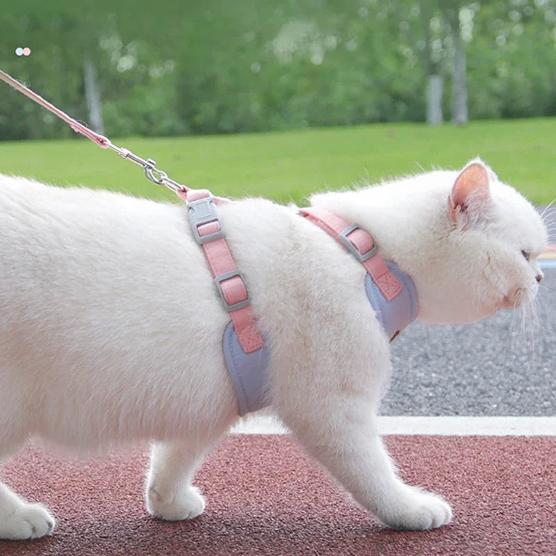 Cat Harness & Leash Set – Escape-Proof Soft Mesh for Cats