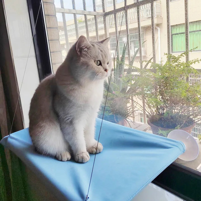 Window Cat Hammock – Suction Cup Hanging Bed for Indoor Cats