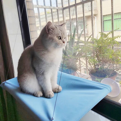 Window Cat Hammock – Suction Cup Hanging Bed for Indoor Cats