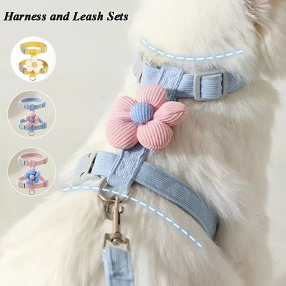 Cat Harness & Leash – Cute Pattern Breathable Mesh Set