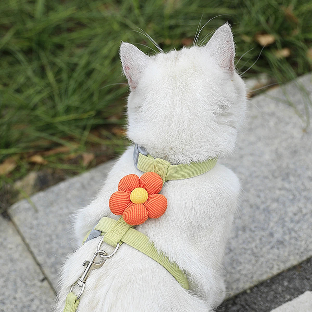 Cat Harness & Leash – Cute Pattern Breathable Mesh Set