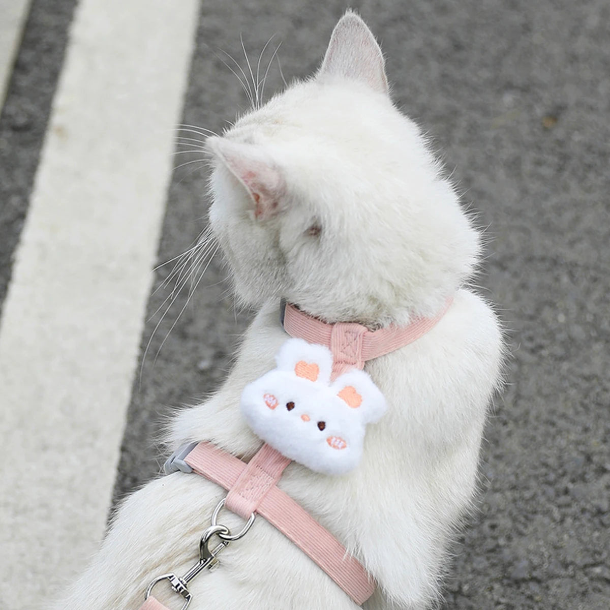 Cat Harness & Leash – Cute Pattern Breathable Mesh Set