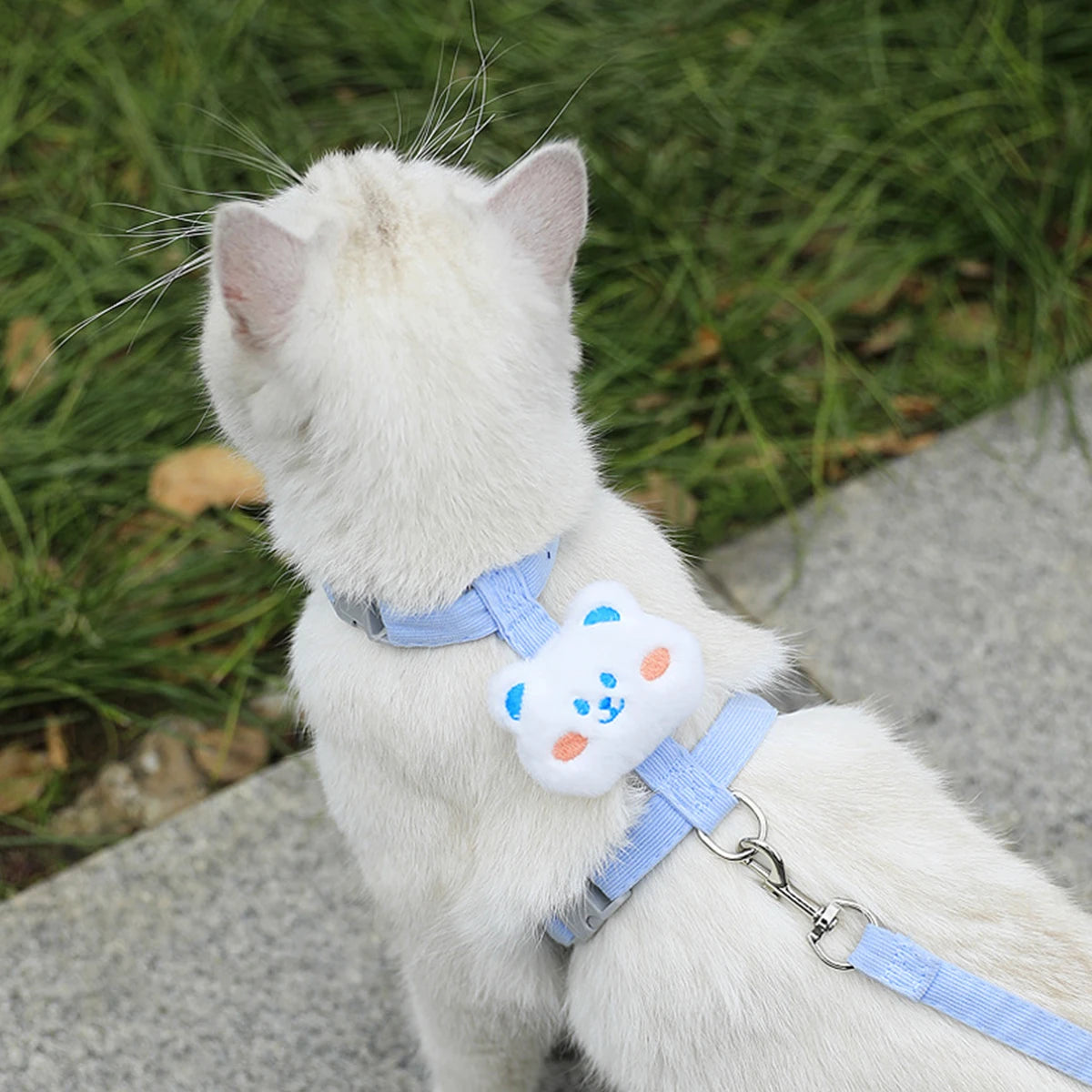Cat Harness & Leash – Cute Pattern Breathable Mesh Set